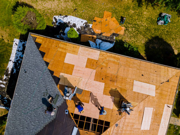 Best Roof Gutter Cleaning  in Park Rapids, MN