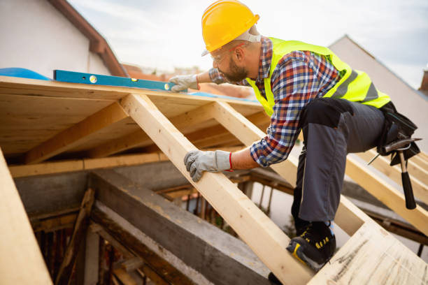 Best Local Roofing Companies  in Park Rapids, MN