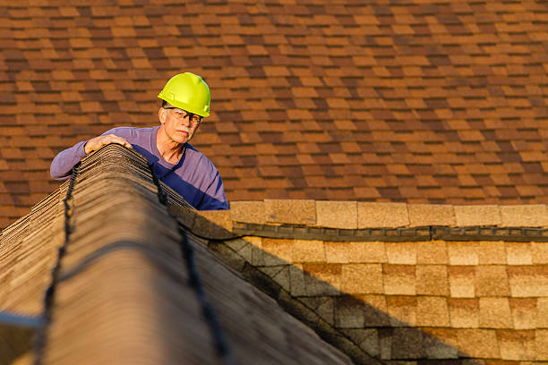 Best Emergency Roof Repair  in Park Rapids, MN